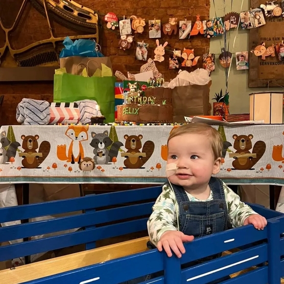 Meet your Posher, Roxi - Picture 4 of 5